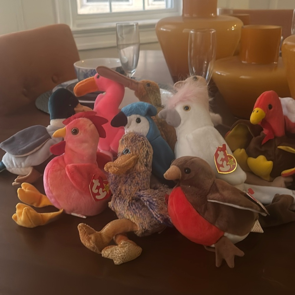 Beanie babies sold bundle of ten bird, Kuki,Jake,Stretch,Strut,pinky,Beak,Rocket